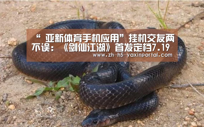“ 亚新体育手机应用”挂机交友两不误:《剑仙江湖》首发定档7.19(图3) 亚新体育手机应用