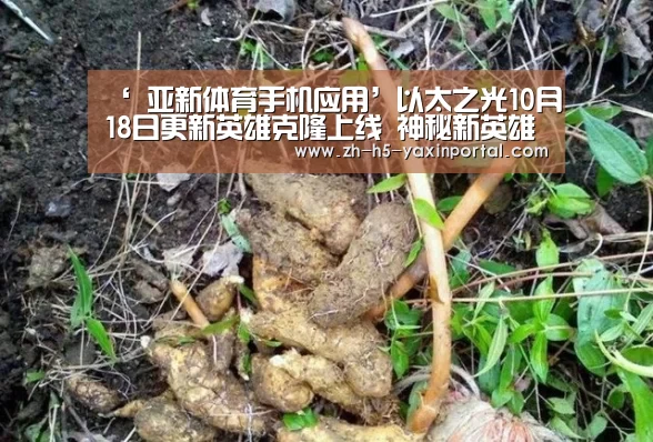 ‘ 亚新体育手机应用’以太之光10月18日更新英雄克隆上线 神秘新英雄预告(图2) 亚新体育App下载